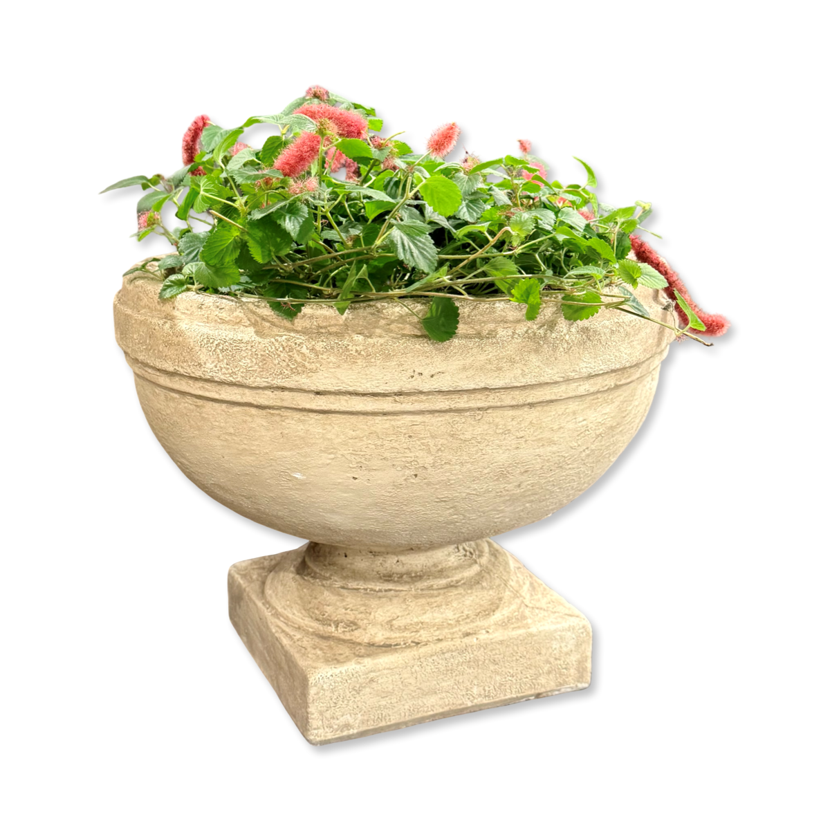 Featured image for “Small Crestline Urn”