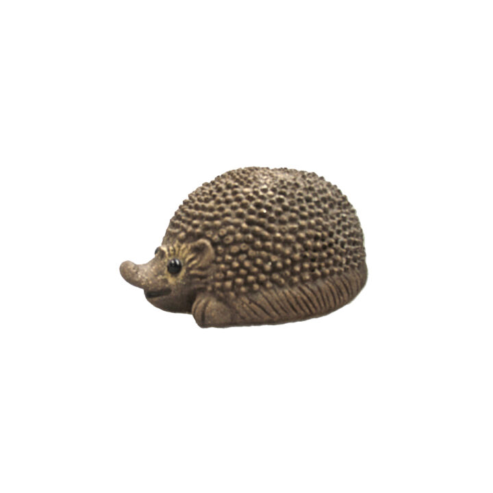 hedgehog-with-glass-eyes