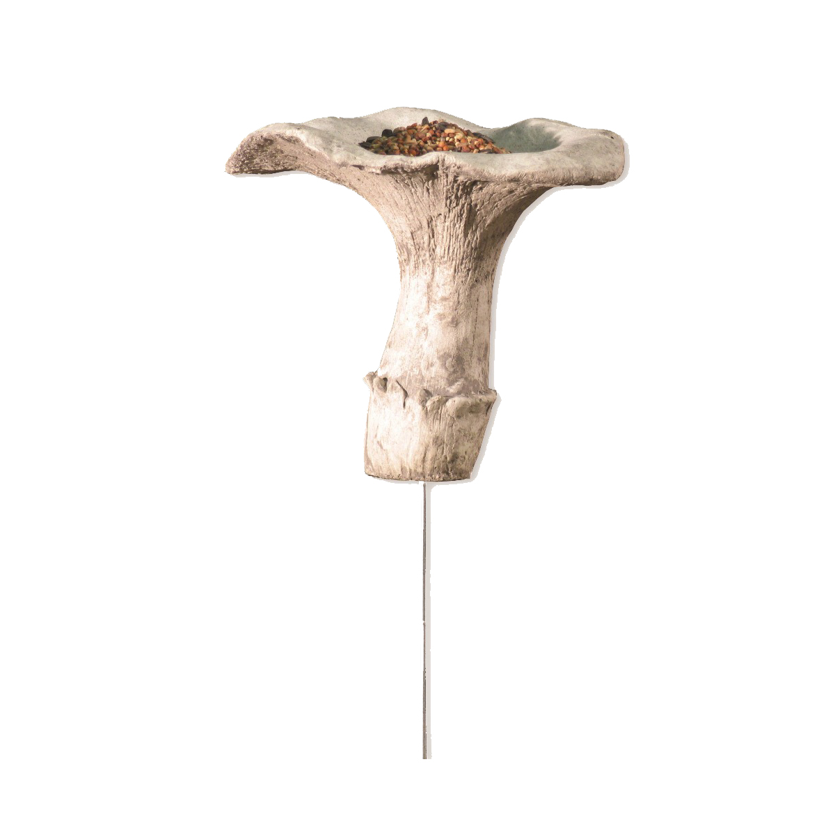 Featured image for “Mushroom Waterer”