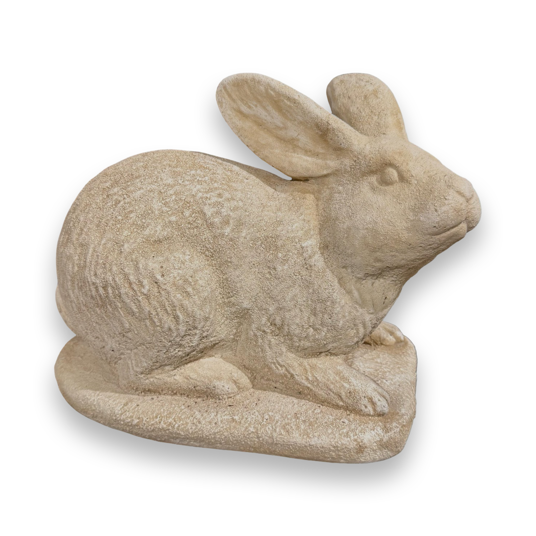 Featured image for “Bashful Bunny”