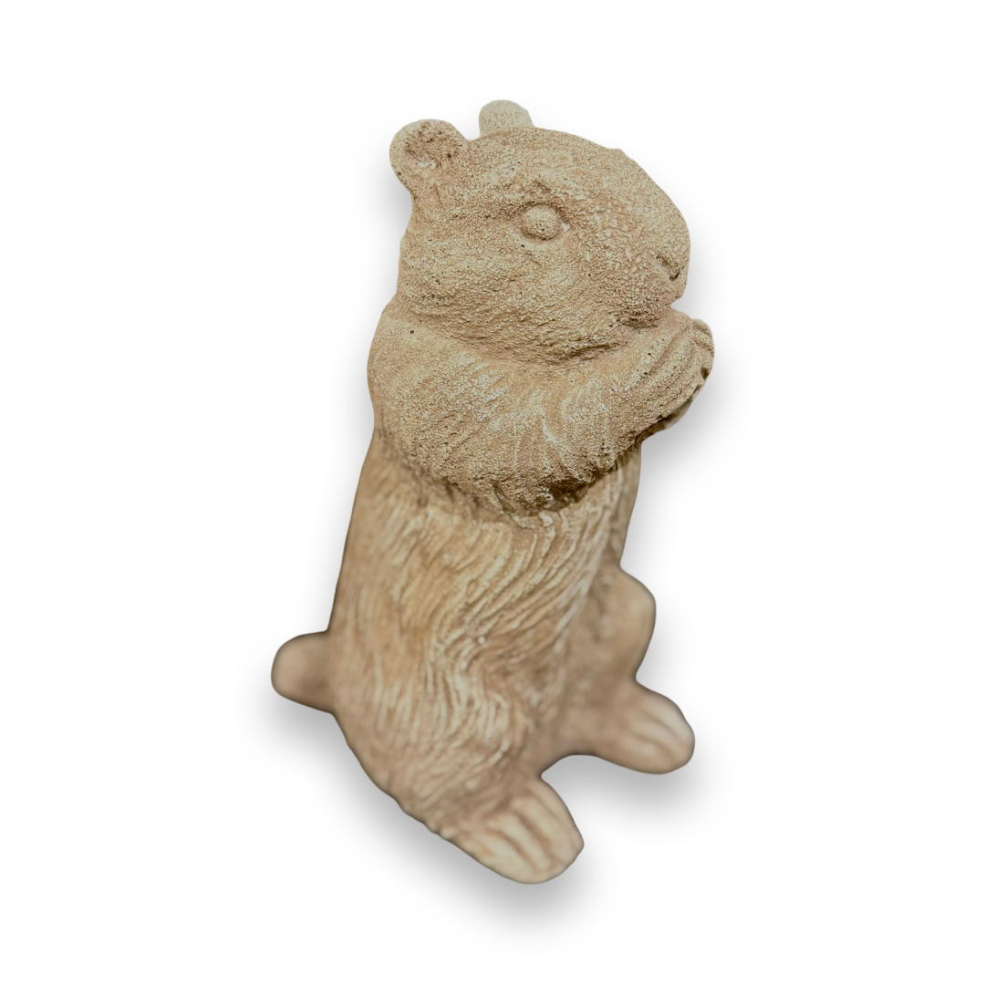 Featured image for “Chipmunk”