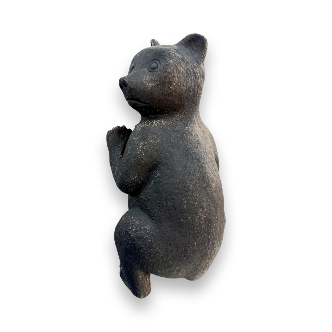 Featured image for “Climbing Bear”